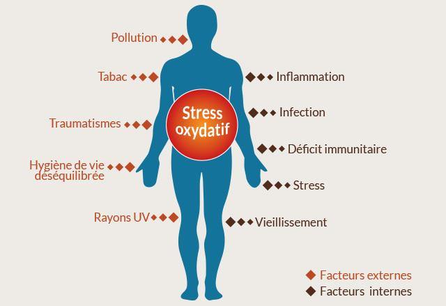 Les radicaux libres et le stress oxydant - Pur Noisetier | Pure Hazelwood