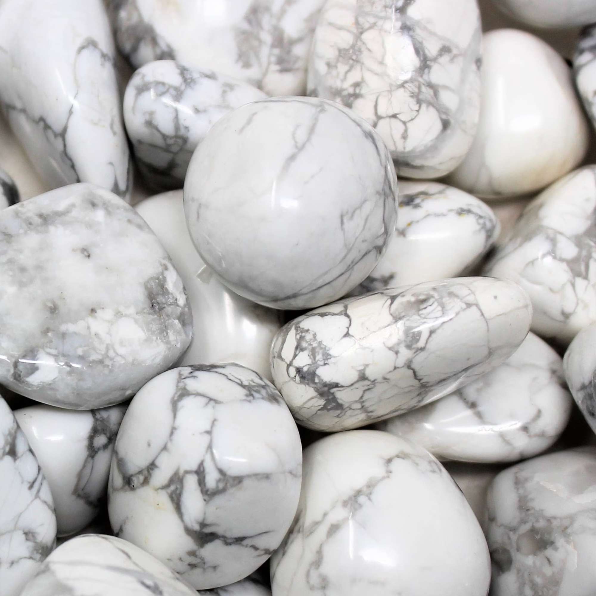 Howlite - Pur Noisetier | Pure Hazelwood