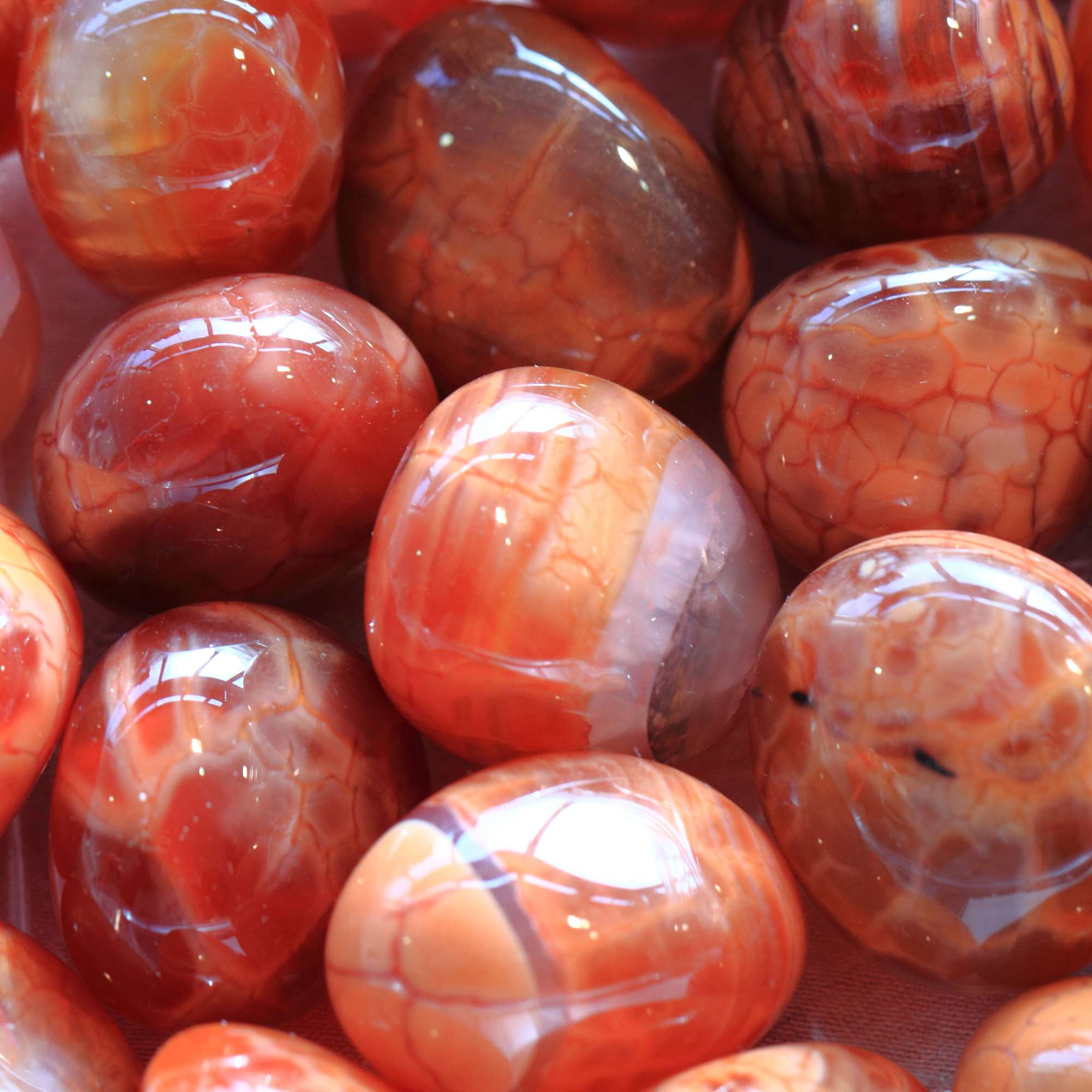 Red Agate - Pur Noisetier | Pure Hazelwood