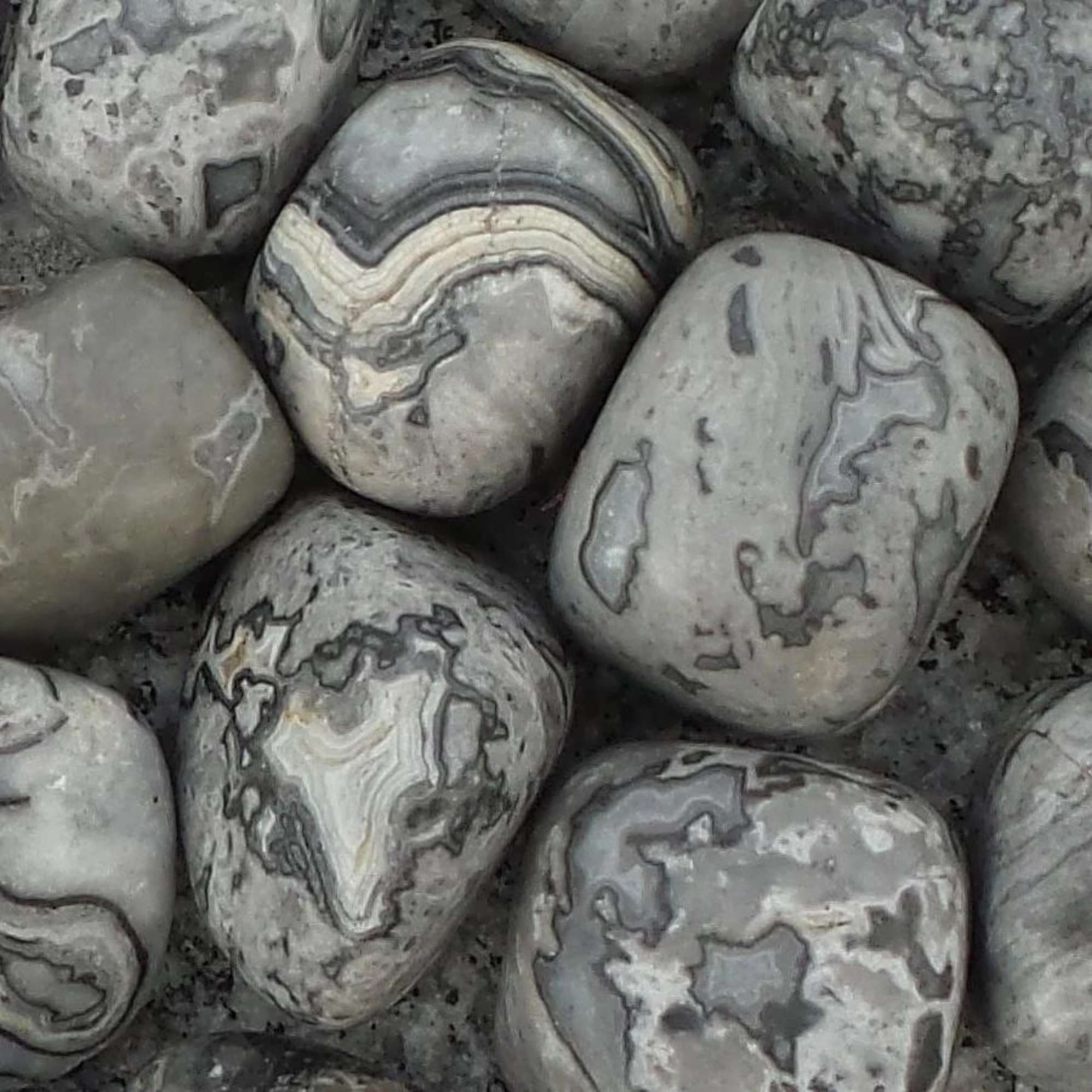 Picasso Jasper - Pur Noisetier | Pure Hazelwood