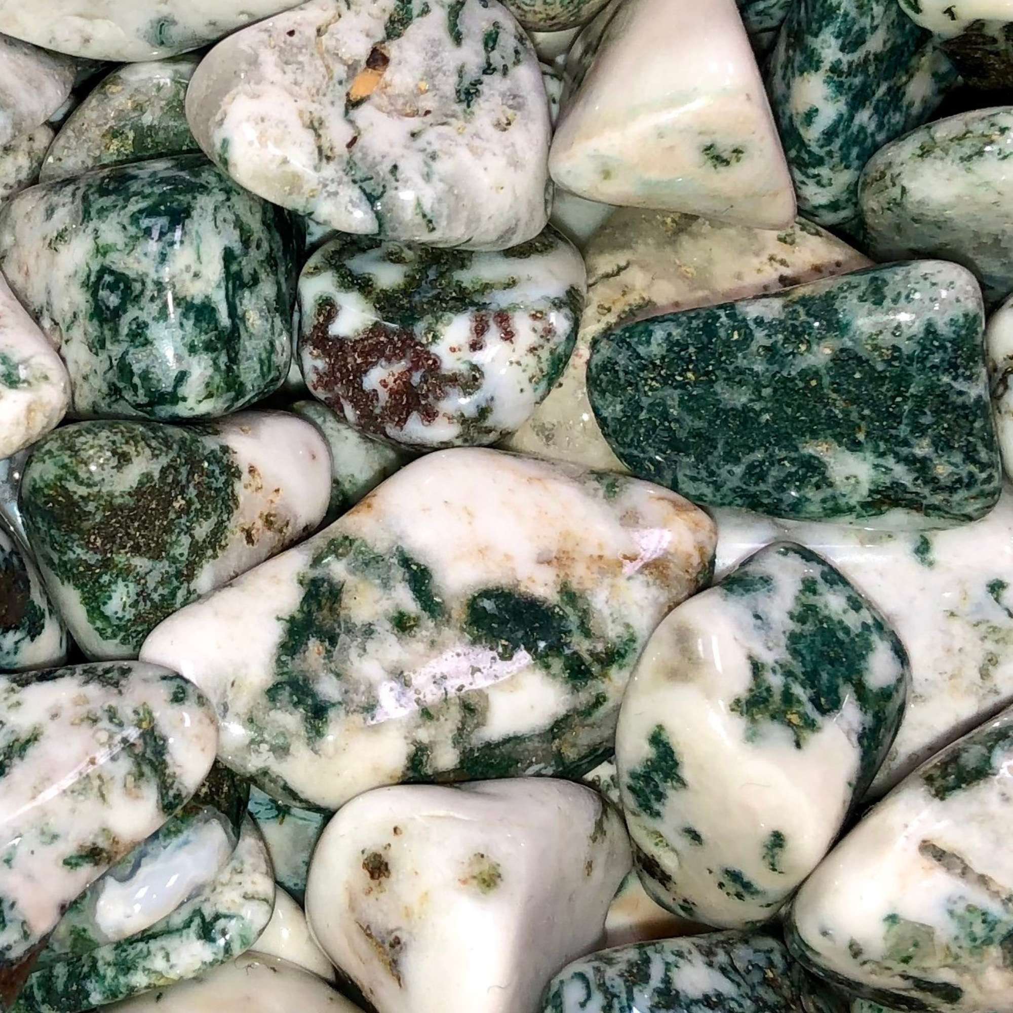 Tree Agate - Pur Noisetier | Pure Hazelwood