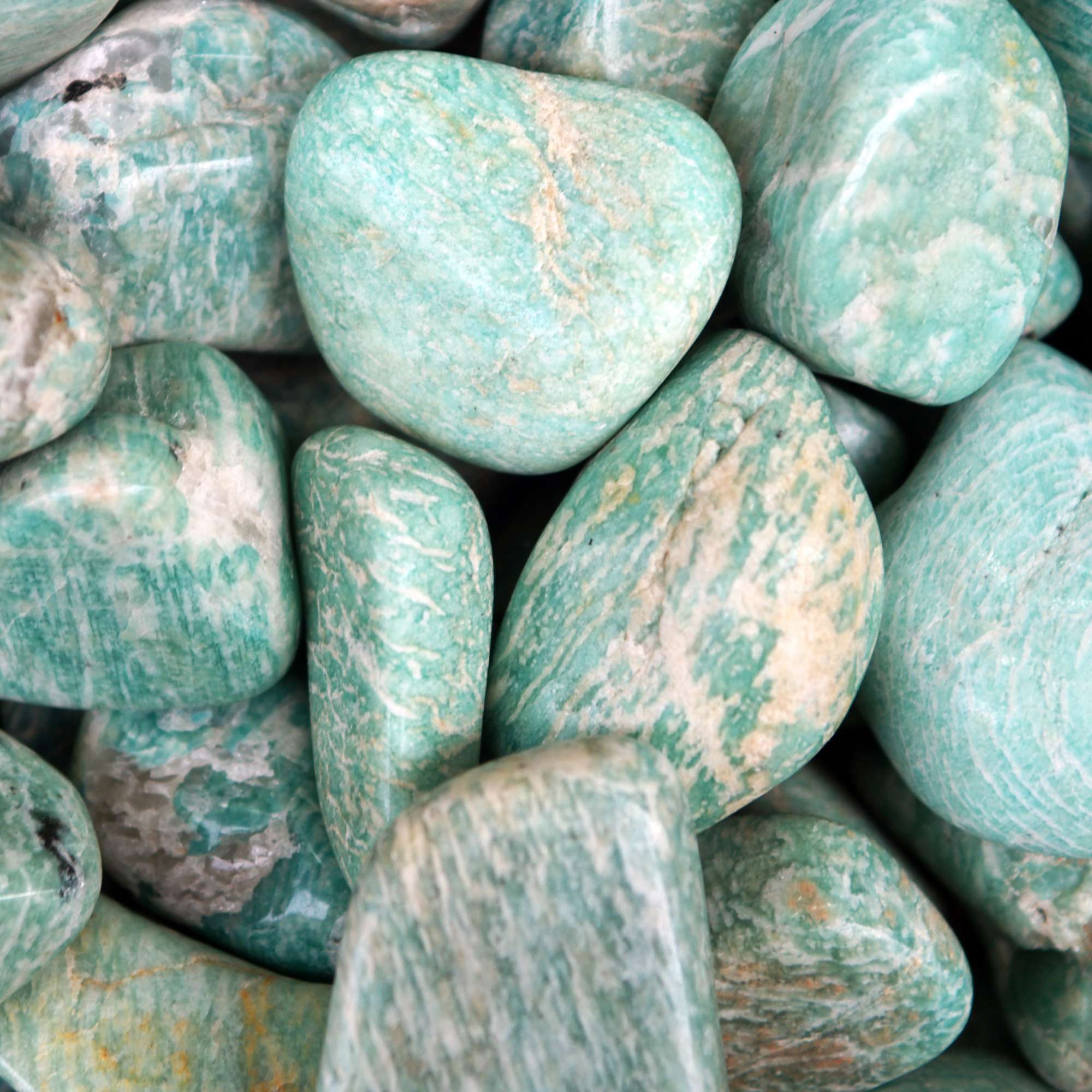 Amazonite - Pur Noisetier | Pure Hazelwood