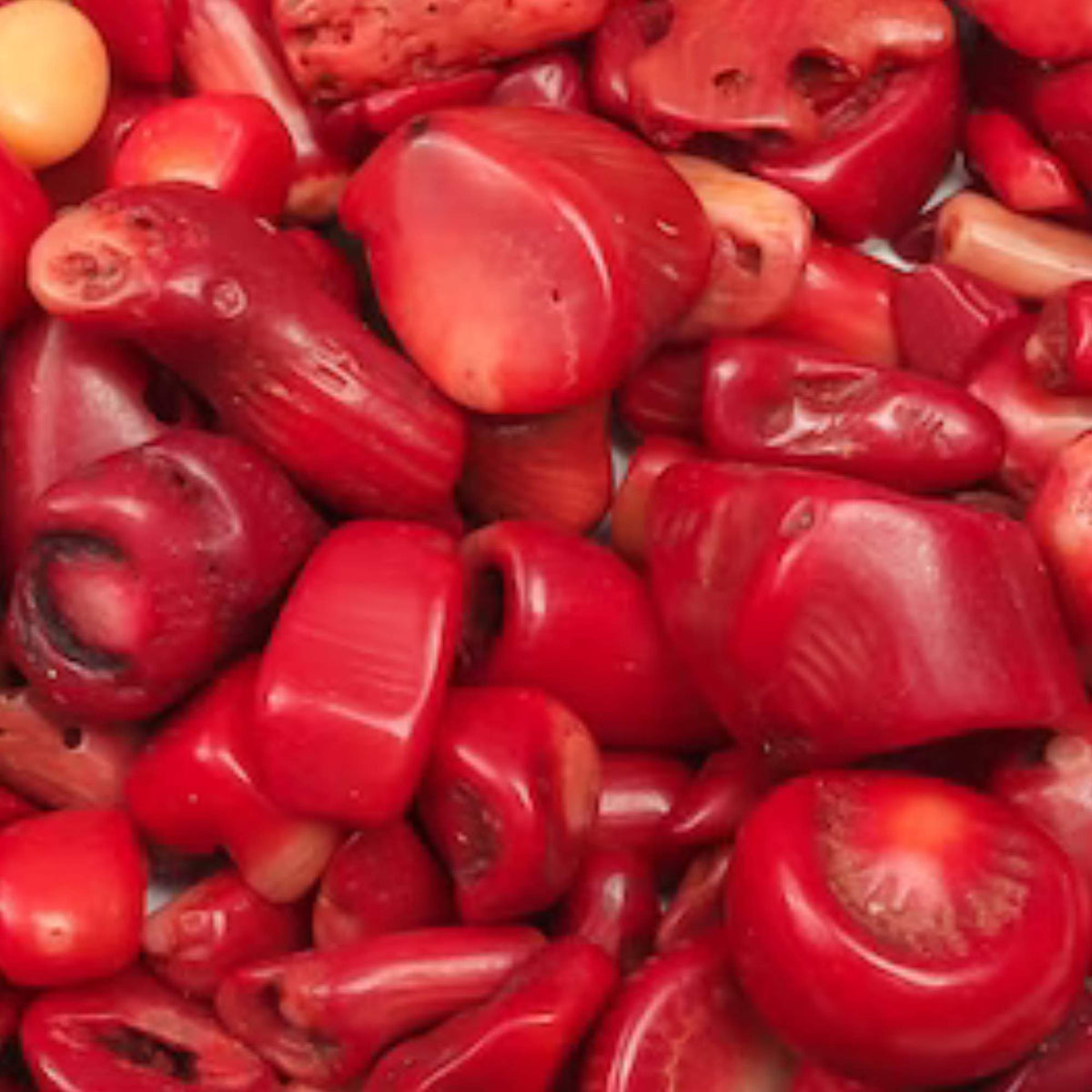 RED CORAL