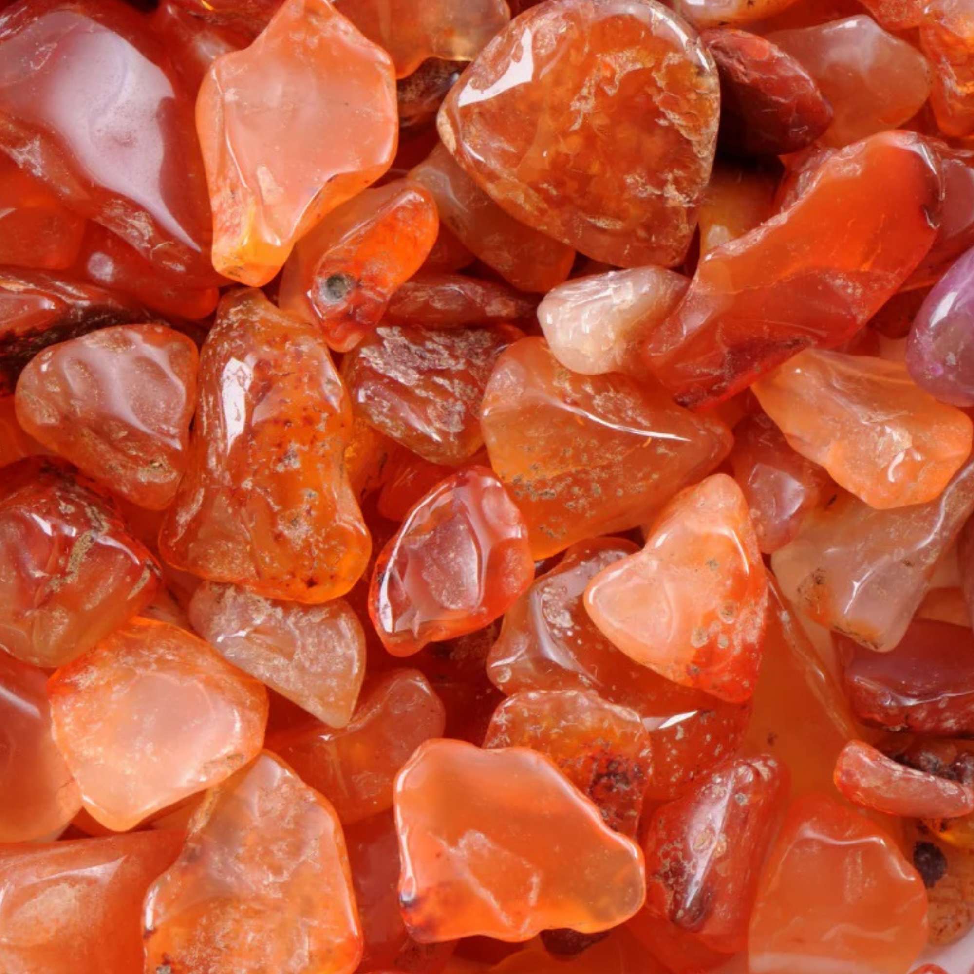 CARNELIAN