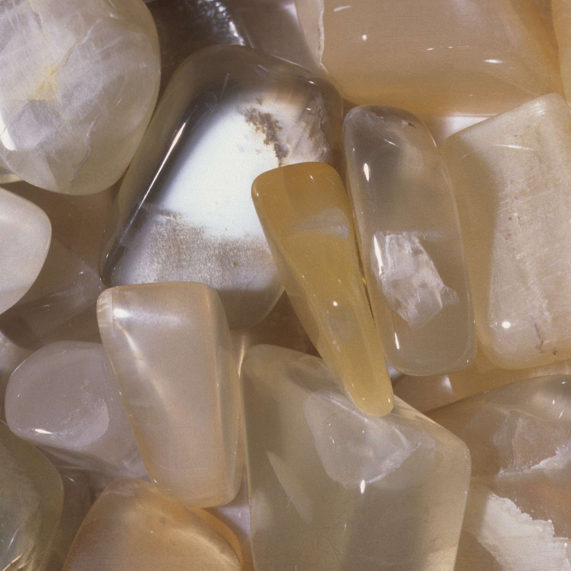 Moonstone - Pur Noisetier | Pure Hazelwood