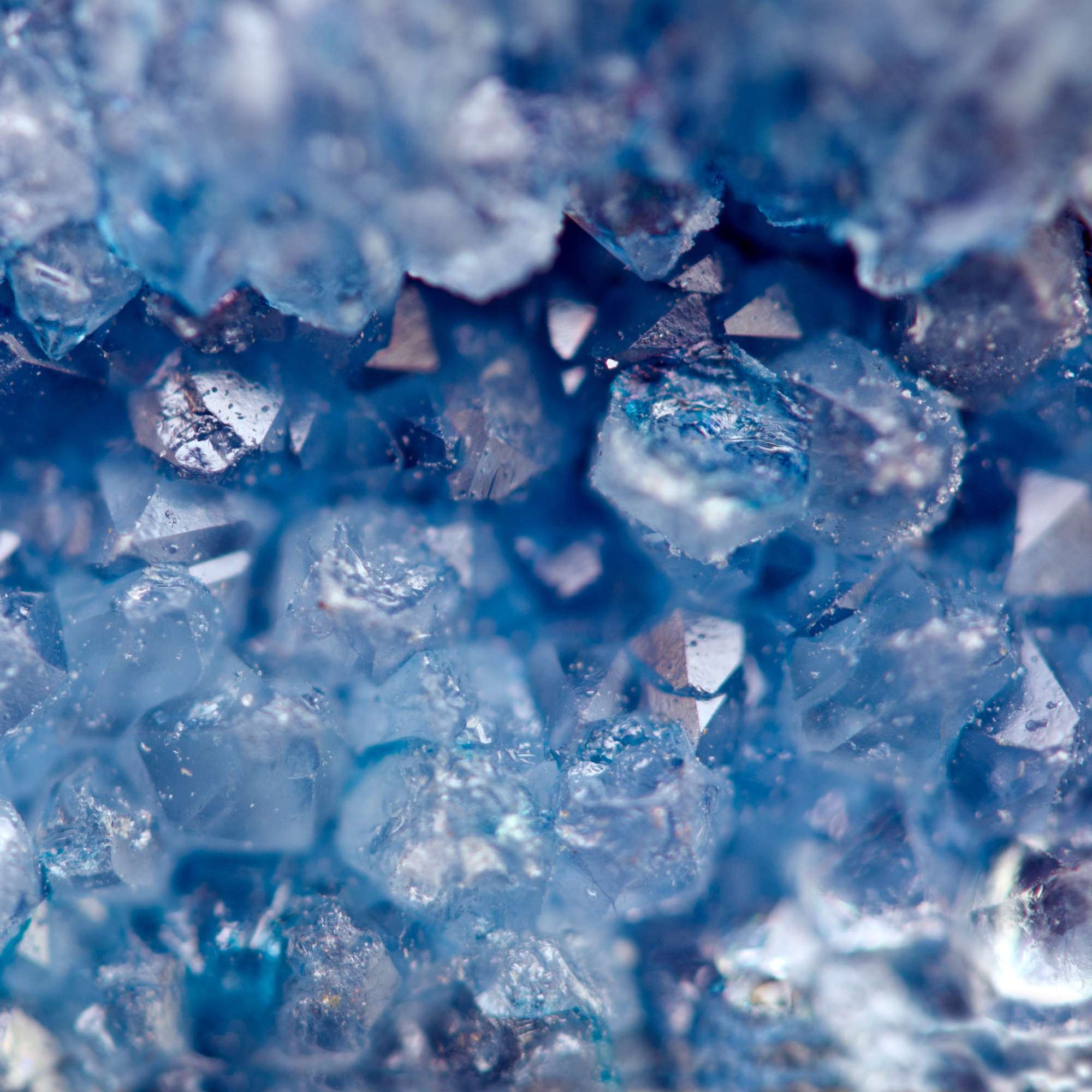 Blue Agate - Pur Noisetier | Pure Hazelwood