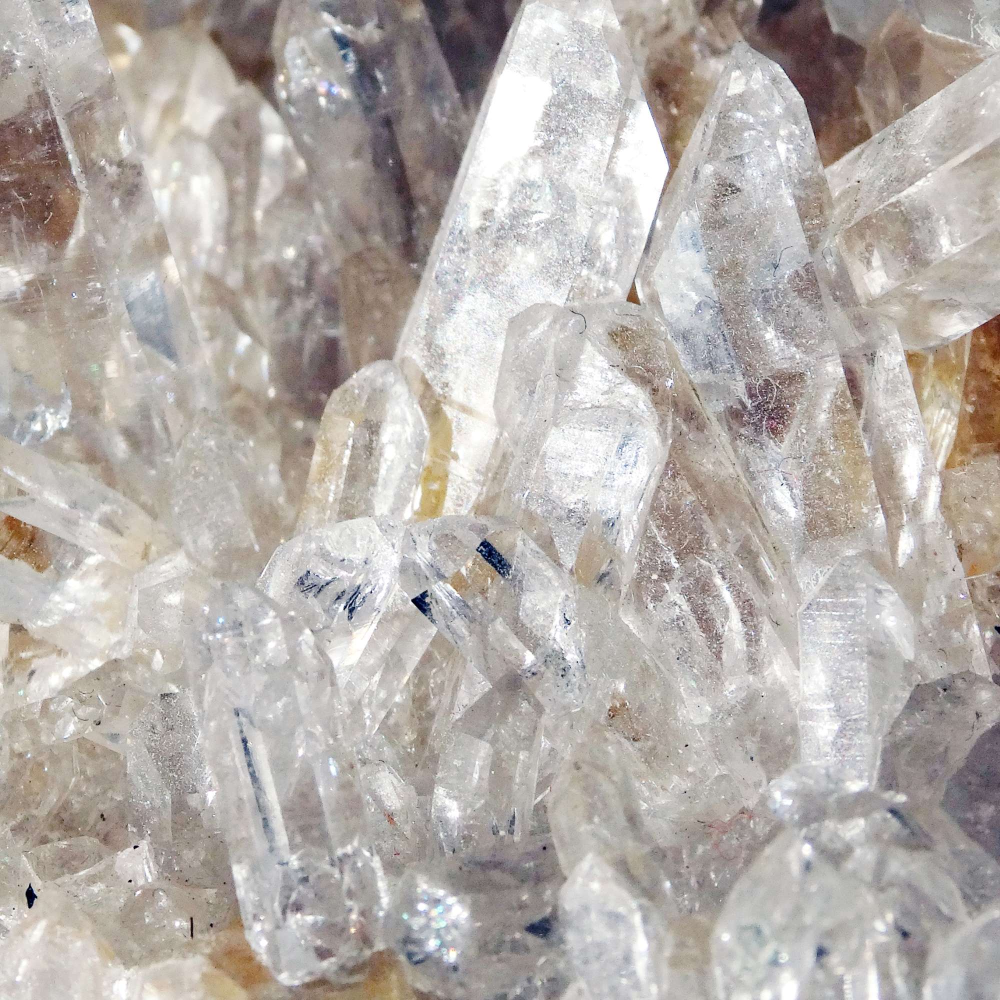 Crystal Quartz - Pur Noisetier | Pure Hazelwood