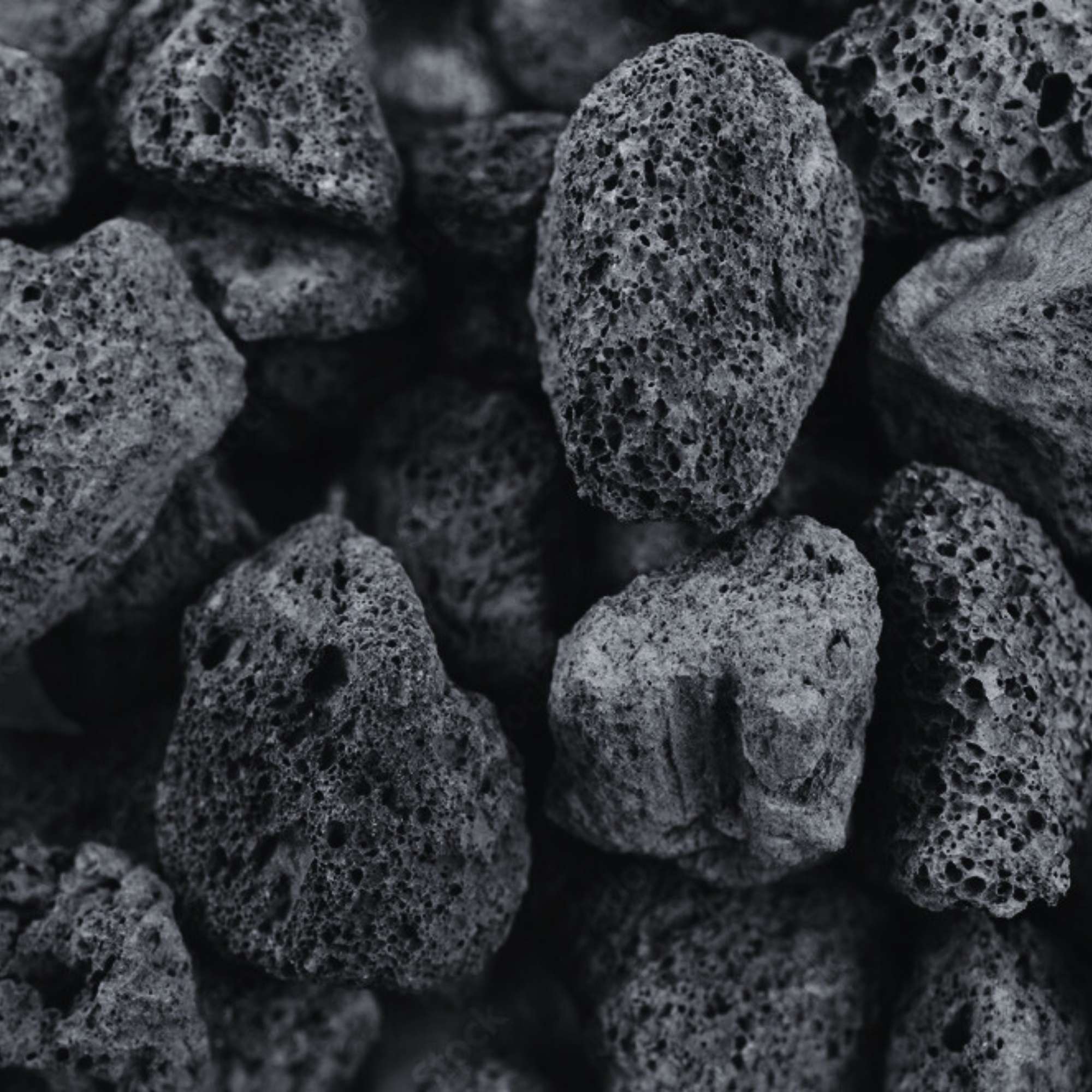 Diffuser Jewelry - Pur Noisetier | Pure Hazelwood