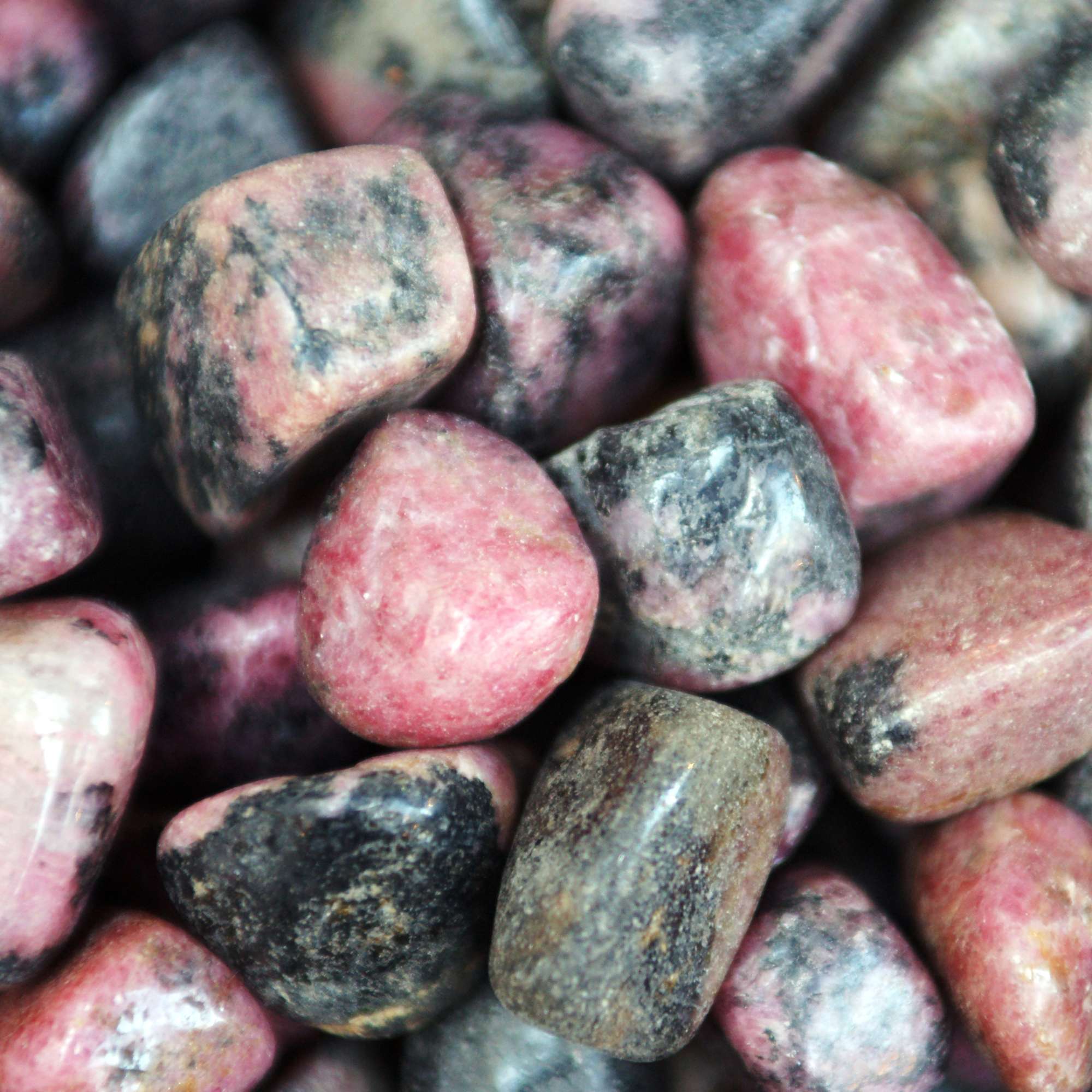 Rhodonite - Pur Noisetier | Pure Hazelwood