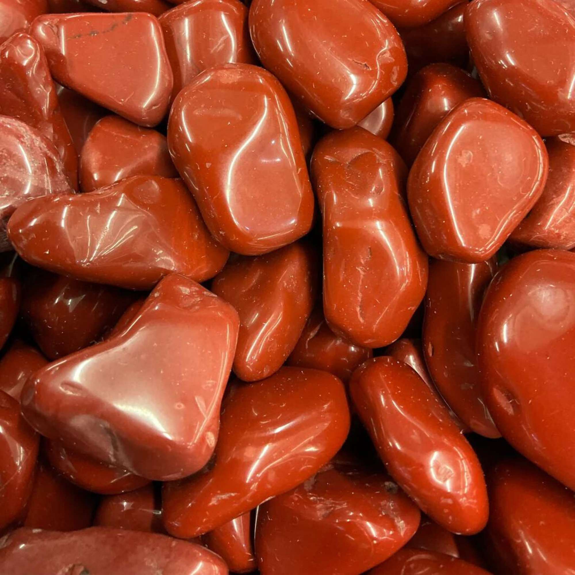 Red Jasper - Pur Noisetier | Pure Hazelwood