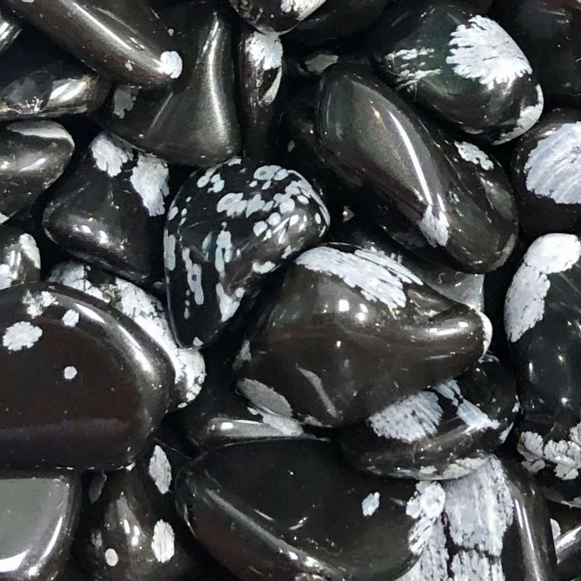 Snowflake Obsidian - Pur Noisetier | Pure Hazelwood