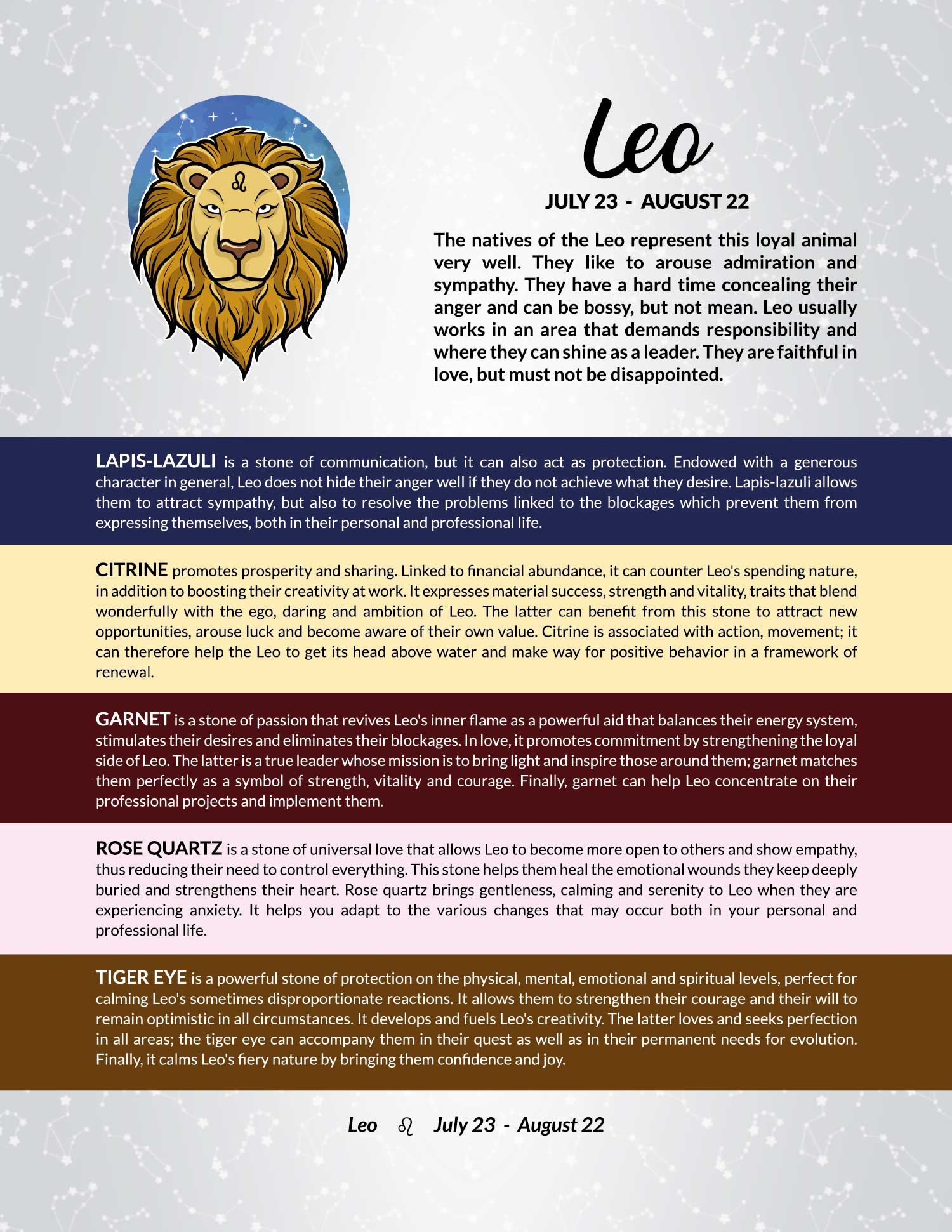 H05 | Duo de bracelets LION 8 mm noir