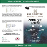 Z02 | TAURUS | Black Tourmaline